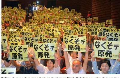 Protestors in Niigata