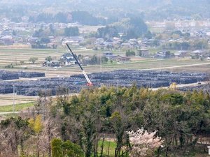 Fukushima: The reality