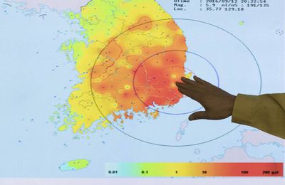 Korea's earthquake prompts nuke safety concerns