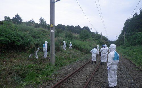 Decontaminating tracks