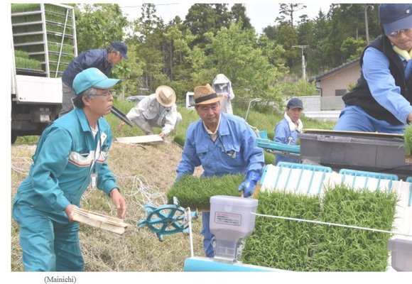 Growing hope (rice)